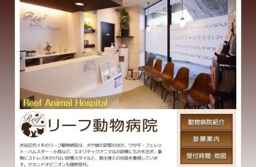 アビス動物病院 東京都優良動物病院