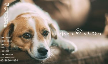 かるがも動物病院