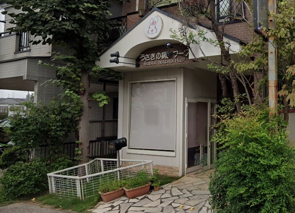 うさぎの病院フープ 東京都優良動物病院